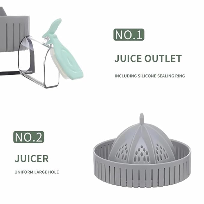 Electric Juicer